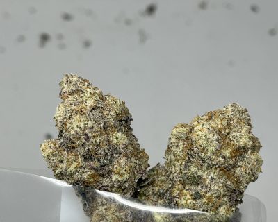 MIRACLE WIZARD COOKIES LSO (TROPHY CUT DEAL!) - Image 6